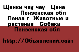 Щенки чау-чау › Цена ­ 15 000 - Пензенская обл., Пенза г. Животные и растения » Собаки   . Пензенская обл.